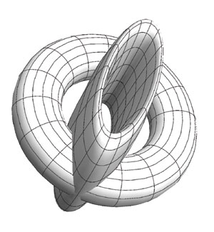 3D Scale