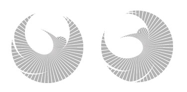 Phoenix rotate
